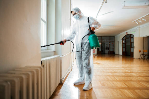 Best Fumigation Services  in Texanna, OK